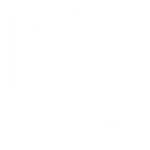 Insurance and Income Strategies